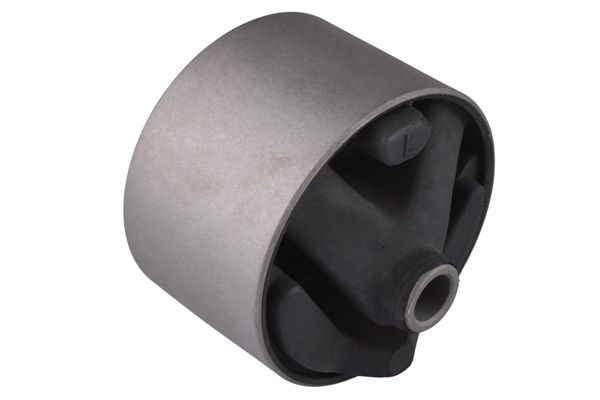 Halter, Motoraufhängung