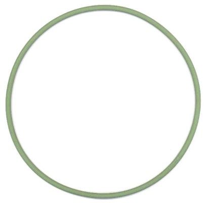 Dichtring, Zylinderlaufbuchse