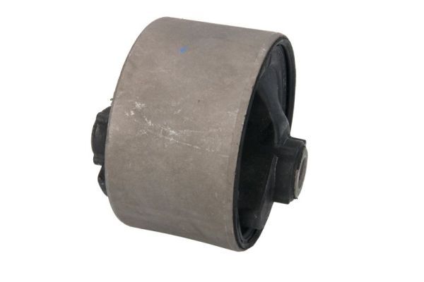 Halter, Motoraufhängung