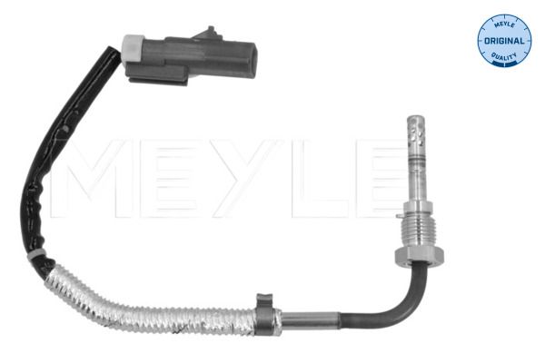 Sensor, Abgastemperatur