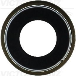 Dichtring, Ventilschaft