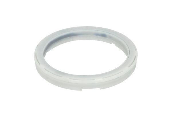 Wälzlager, Federbeinstützlager