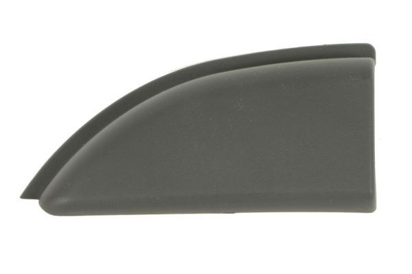 Zier-/Schutzleiste, Seitenwand