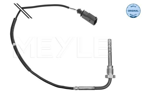 Sensor, Abgastemperatur