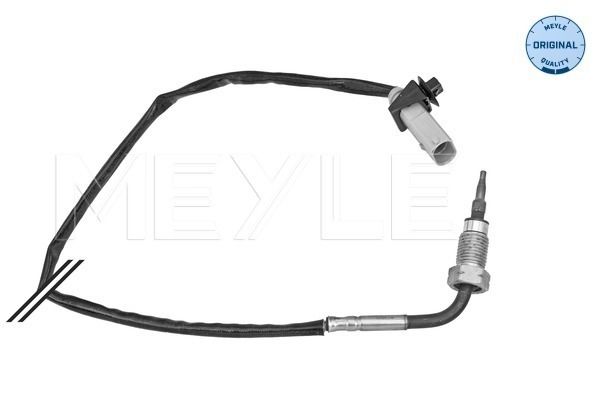 Sensor, Abgastemperatur