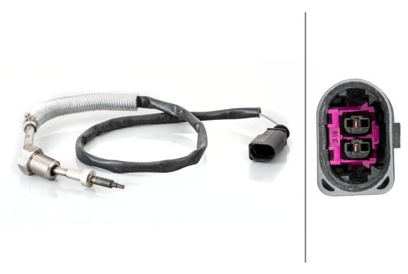 Sensor, Abgastemperatur