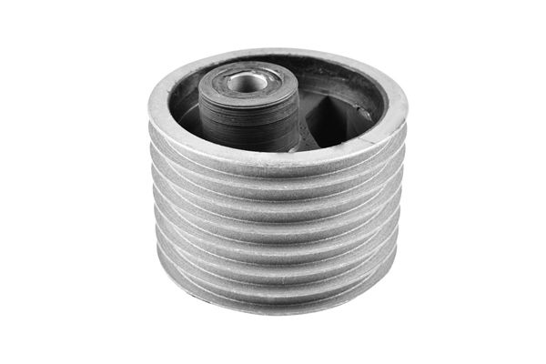 Halter, Motoraufhängung