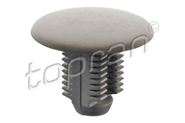 Clip zur Befestigung  von Verkleidungen