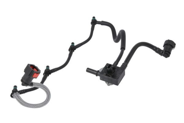 Schlauch, Leckkraftstoff