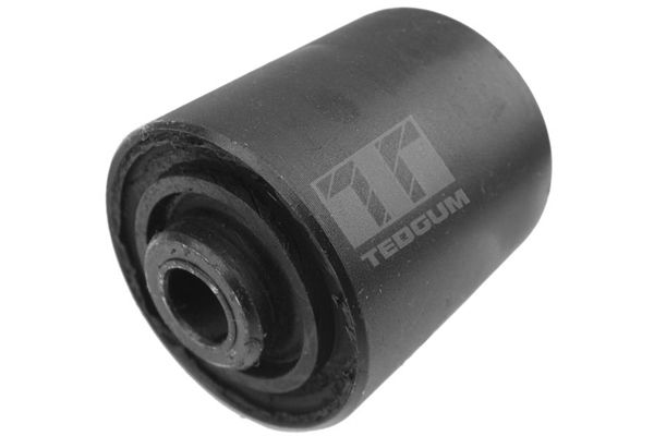 Halter, Motoraufhängung