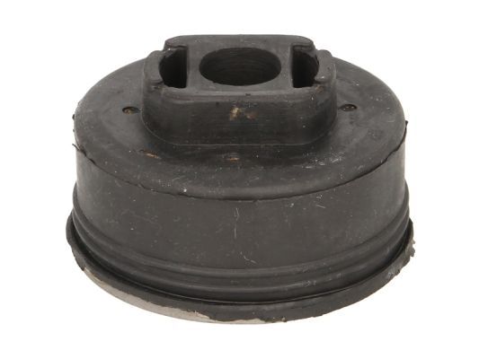 Silentblock des Rahmens