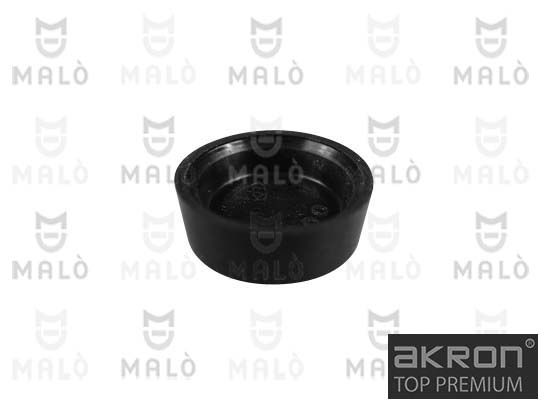 Radsensor, Reifendruck-Kontrollsystem