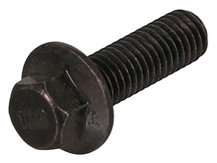 Schraube, Abgasanlage