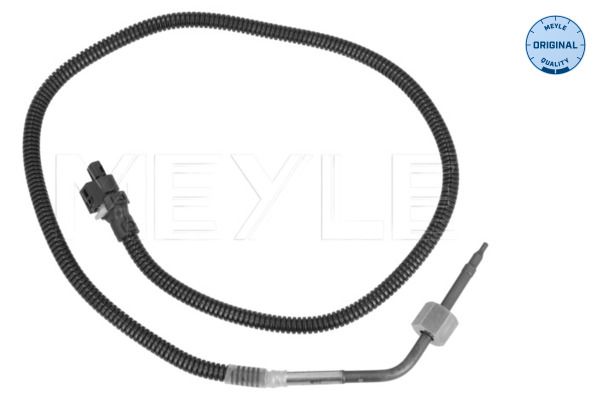 Sensor, Abgastemperatur