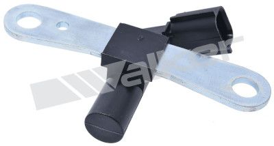 Dichtung des Motorblocks