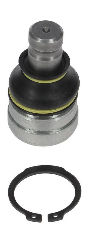 Trag-/Führungsgelenk