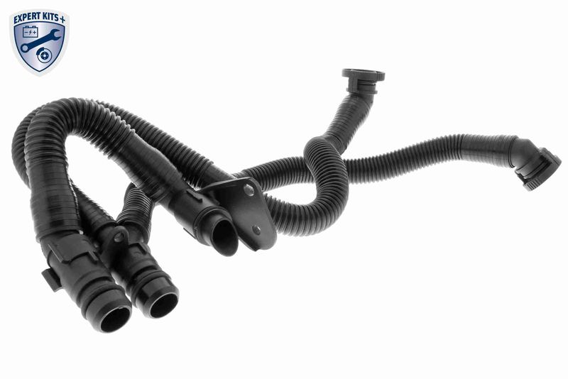 Schlauch, Kurbelgehäuseentlüftung