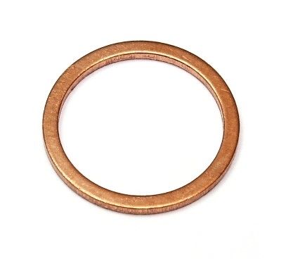 Dichtring