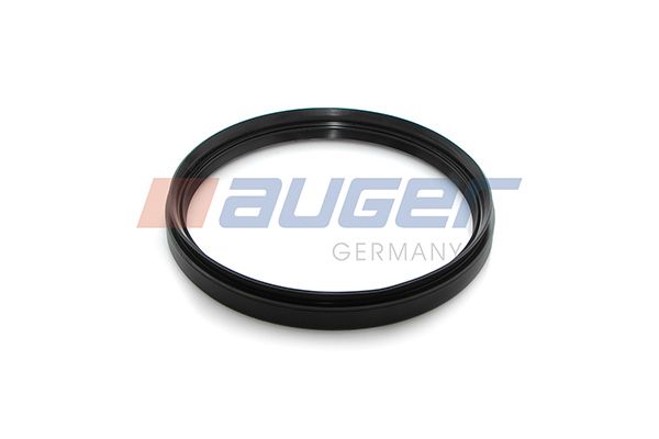 Dichtring, Achsschenkel (Federbock)