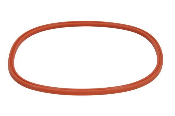 Dichtung, Kraftstoffpumpe