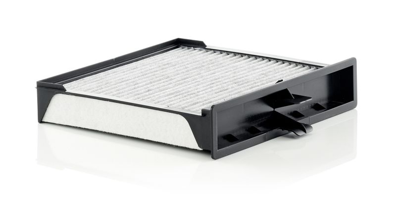 Innenraumluftfilter mit aktivkohle passt zu: RENAULT GRAND SCENIC II, SCENIC II 1.4-2.0D 06.03-12.09