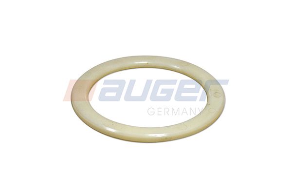 Dichtring, Achsschenkel (Federbock)