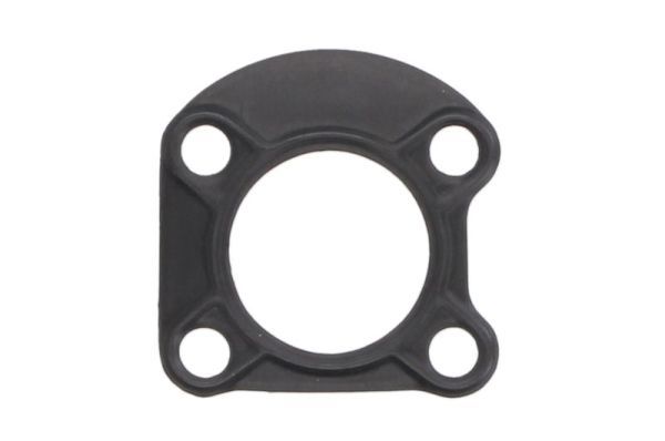 Dichtung, Einspritzpumpe