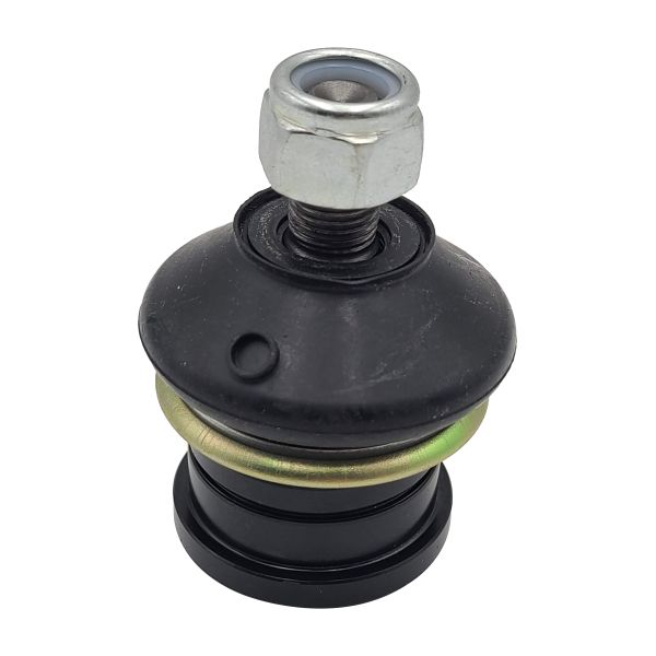 Trag-/Führungsgelenk