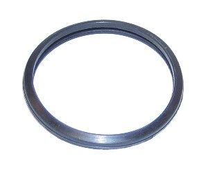 Dichtung, Thermostat