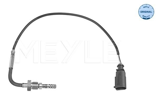 Sensor, Abgastemperatur