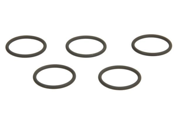 Dichtring, Einspritzventil