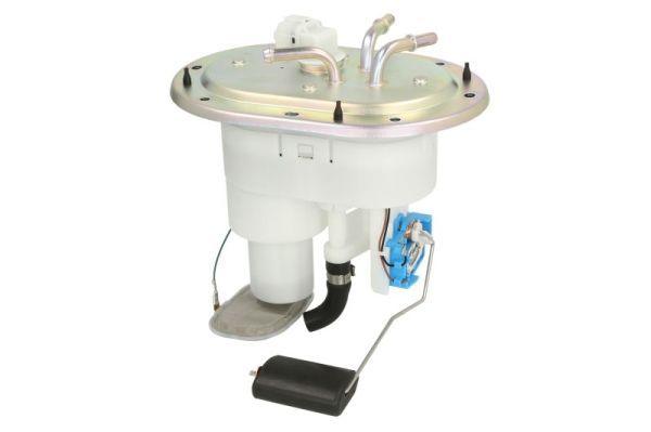 Kraftstofffördermodul