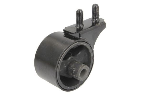 Halter, Motoraufhängung