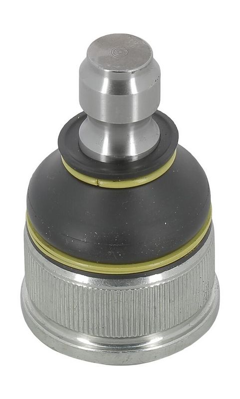 Trag-/Führungsgelenk