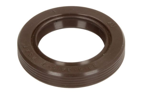 Wellendichtring, Einspritzpumpe