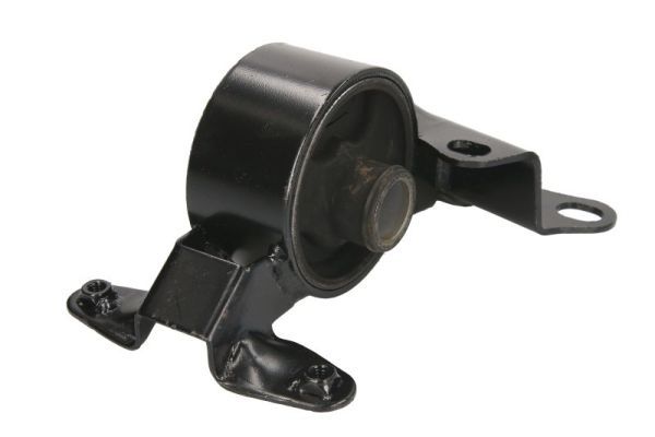 Halter, Motoraufhängung