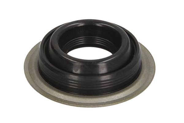 Dichtring, Einspritzventil