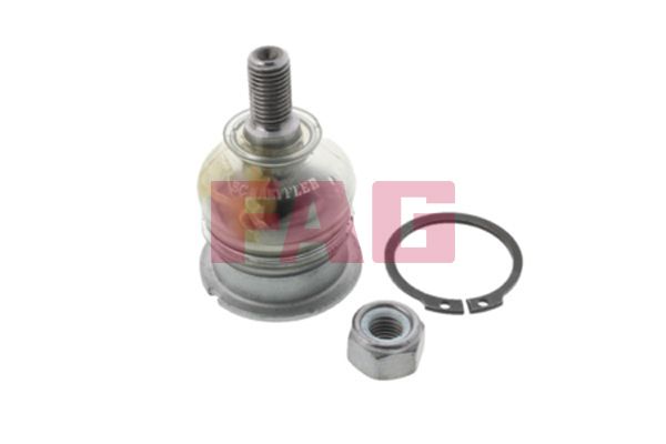 Trag-/Führungsgelenk