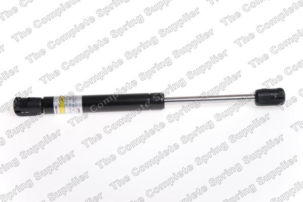 Gasfeder, Koffer-/Laderaum