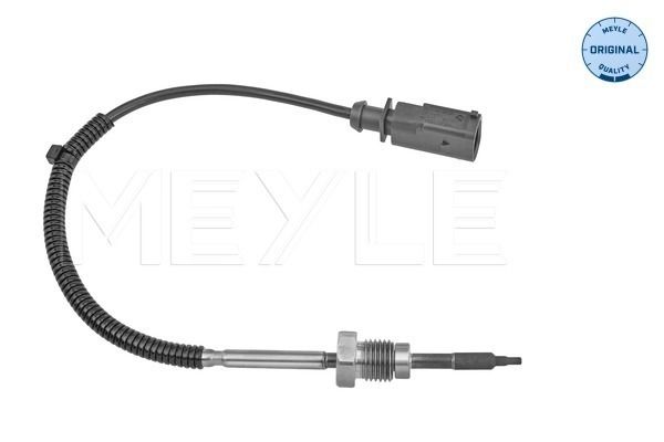 Sensor, Abgastemperatur