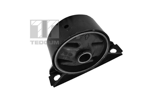 Halter, Motoraufhängung