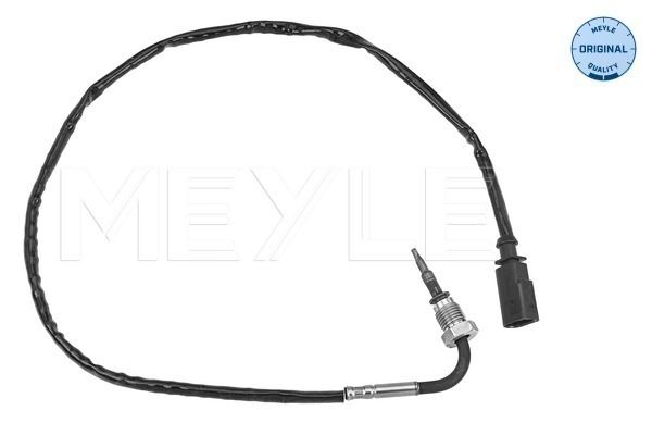 Sensor, Abgastemperatur