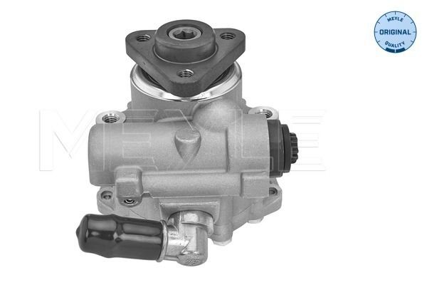 Hydraulikpumpe, Lenkung
