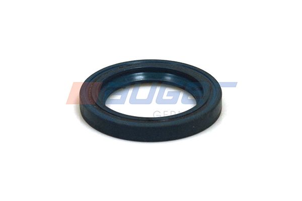 Wellendichtring, Bremsnockenwelle