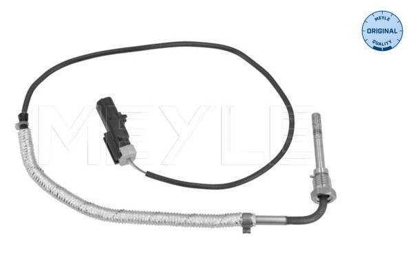 Sensor, Abgastemperatur