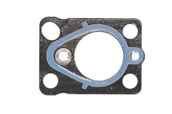 Dichtung, Einspritzpumpe