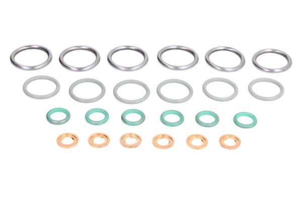 Dichtring, Einspritzventil