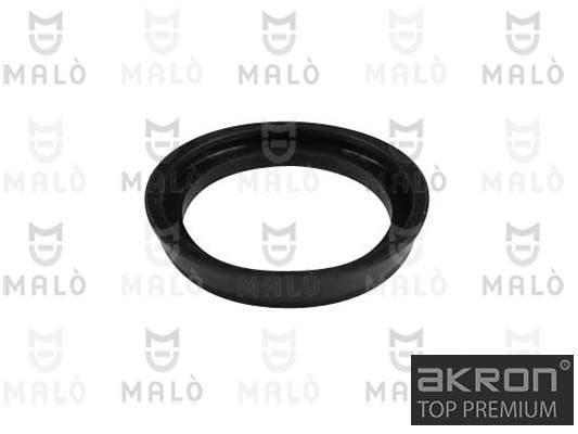 Radsensor, Reifendruck-Kontrollsystem