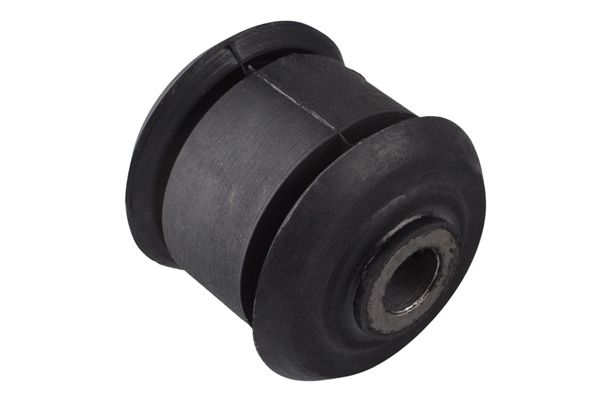 Halter, Motoraufhängung