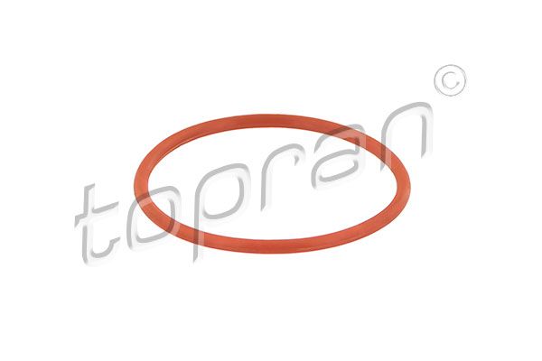 Dichtung, AGR-Ventil